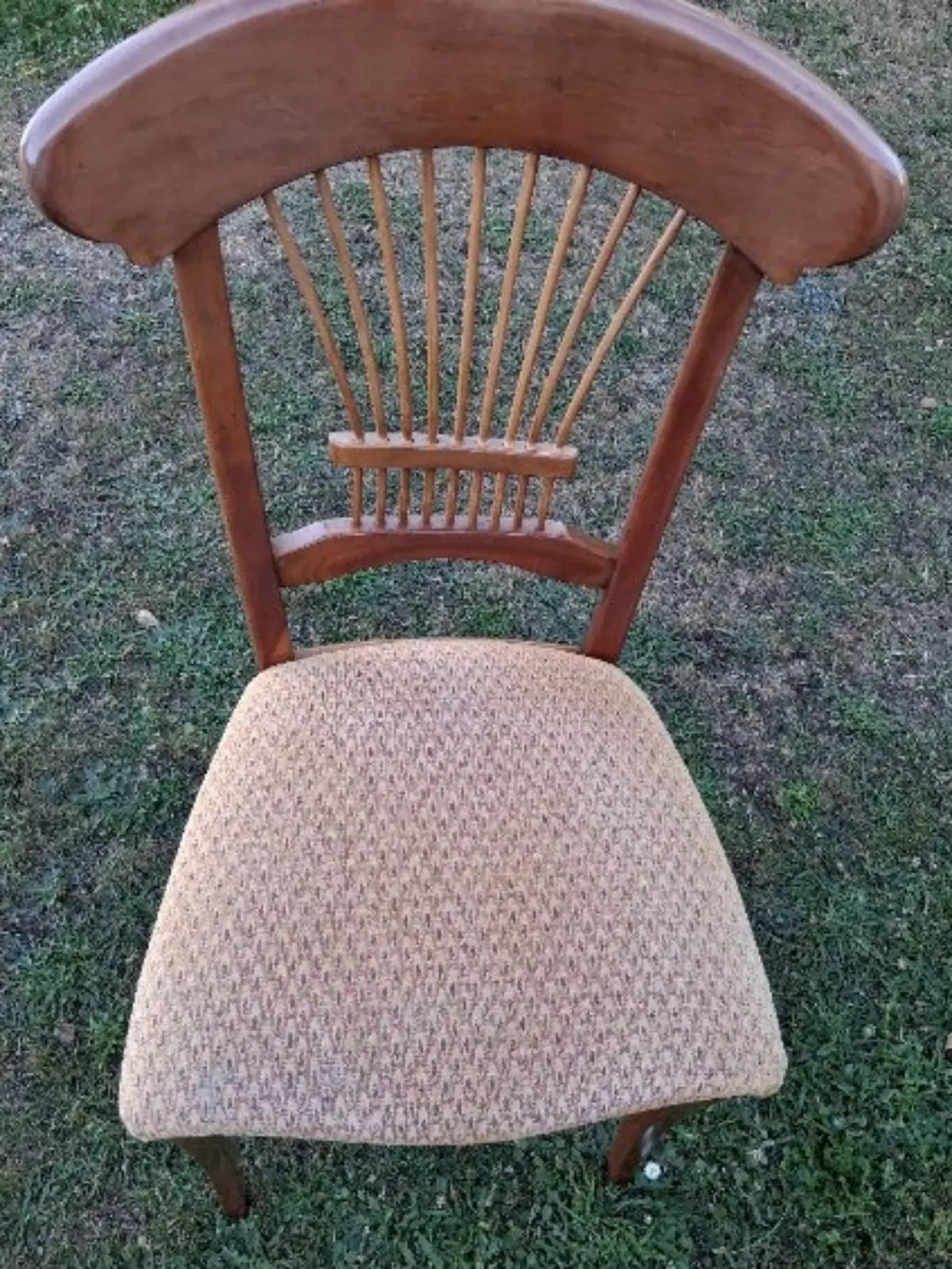 Quatre chaises et leur papier peint fleuri, avant réfection