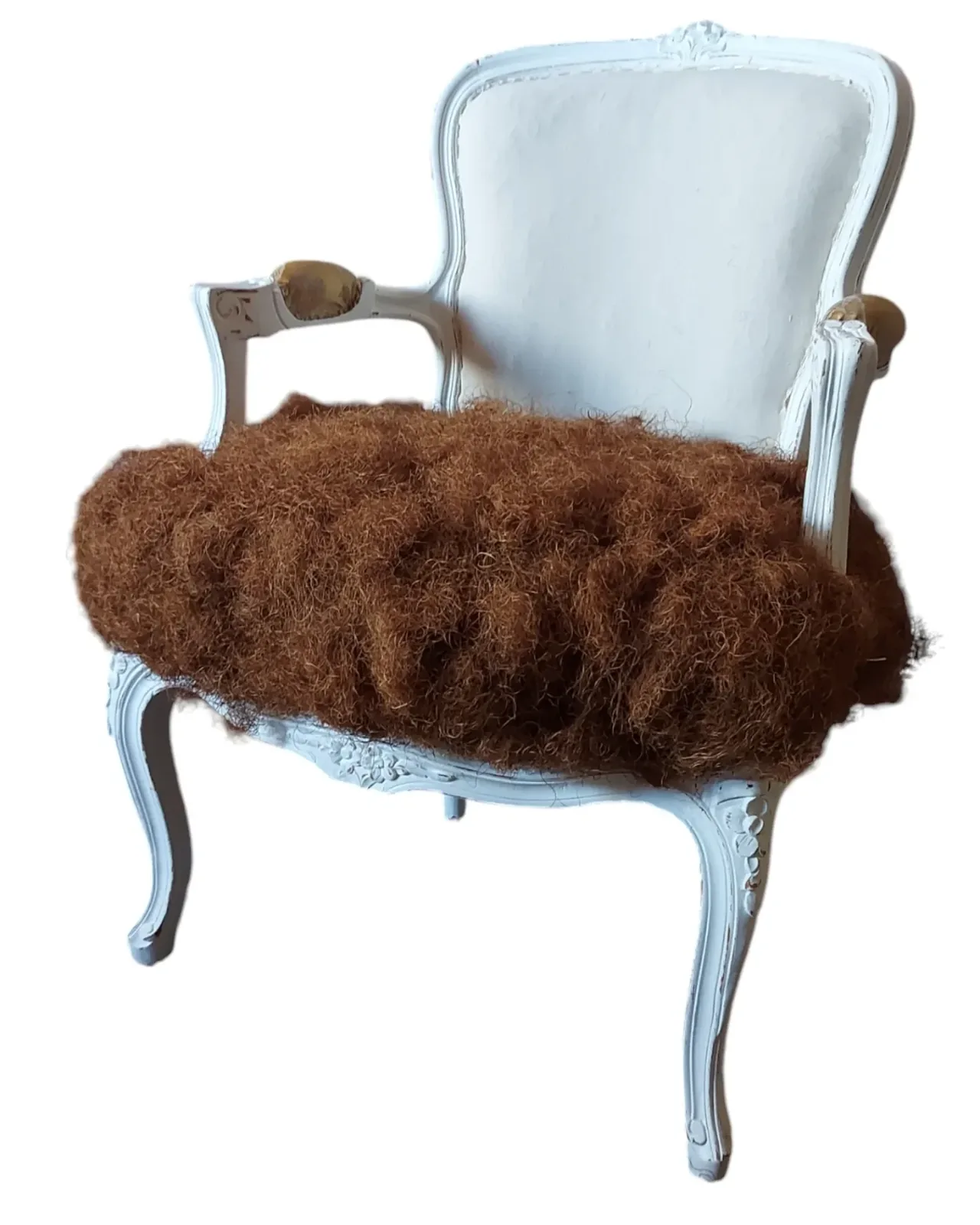 Fauteuil cabriolet blanc garni d'Élancrin, crin végétal en fibre de coco, avant la mise en toile